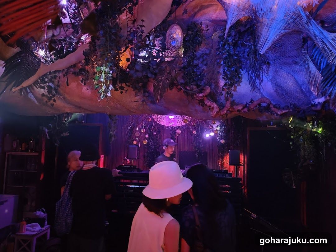 DJ Set in Decorated Venue