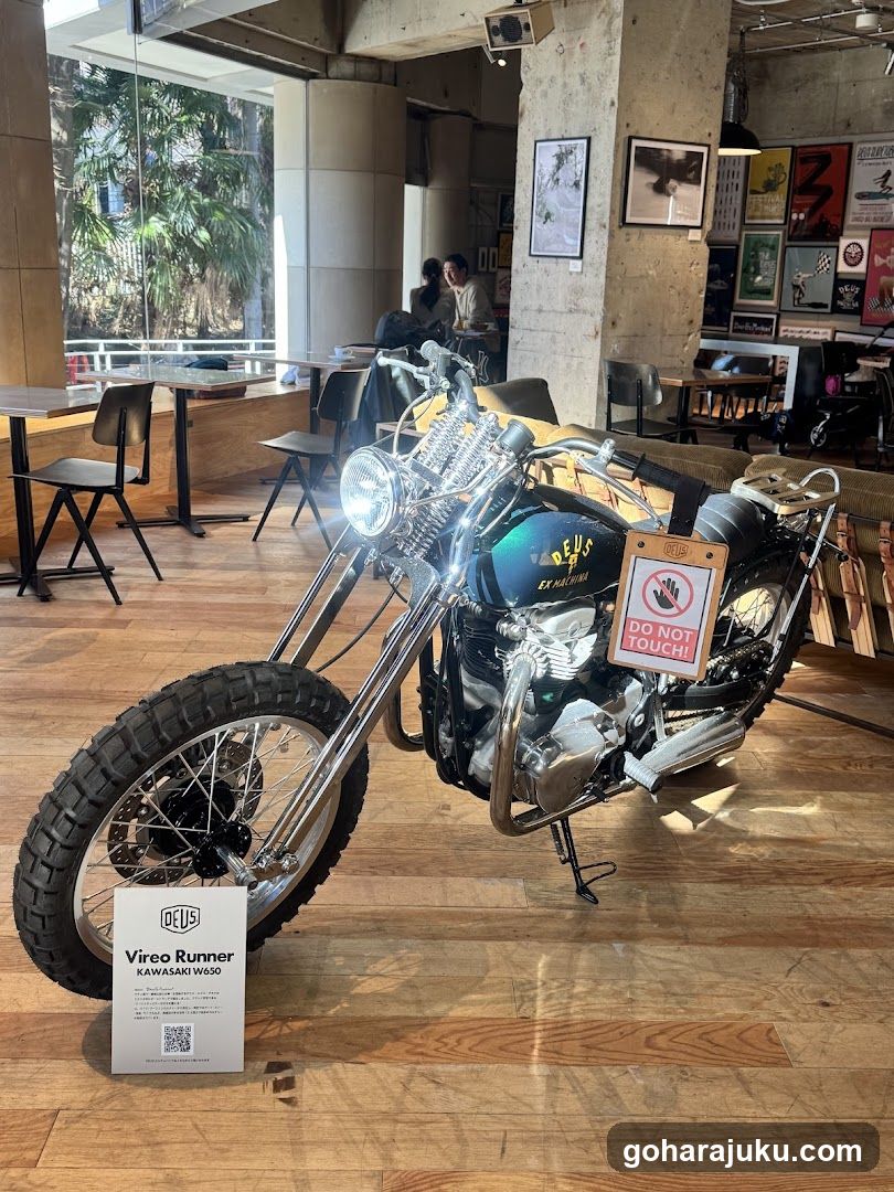 Vireo Runner Motorcycle Display