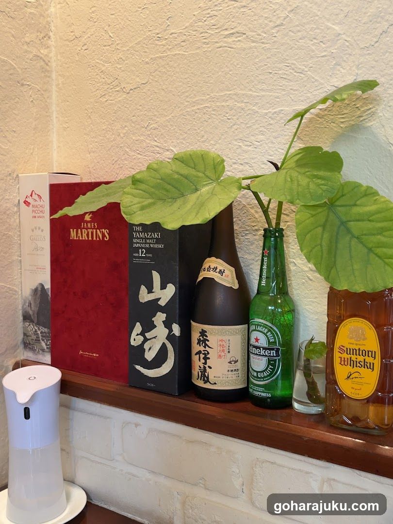 Bottles and Plant on Shelf