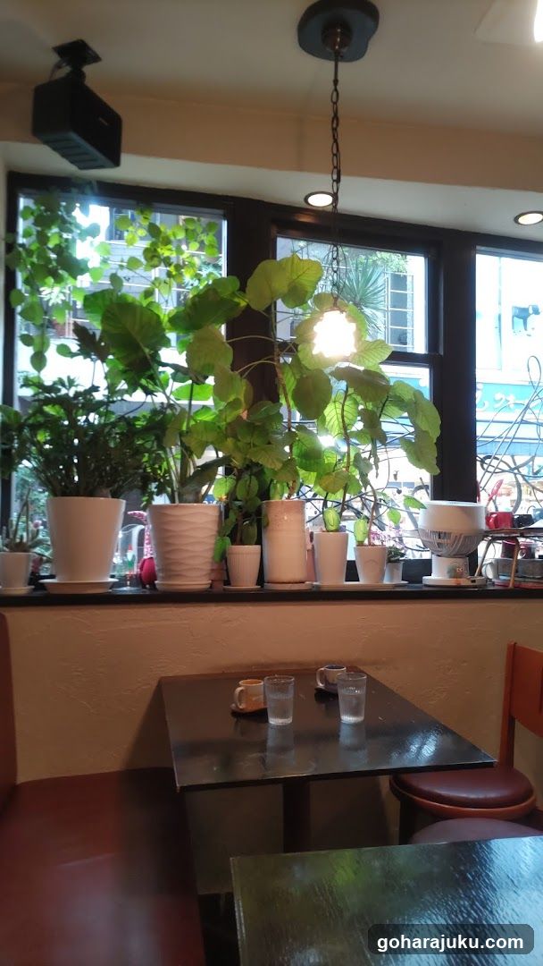 Cozy Cafe Interior with Plants