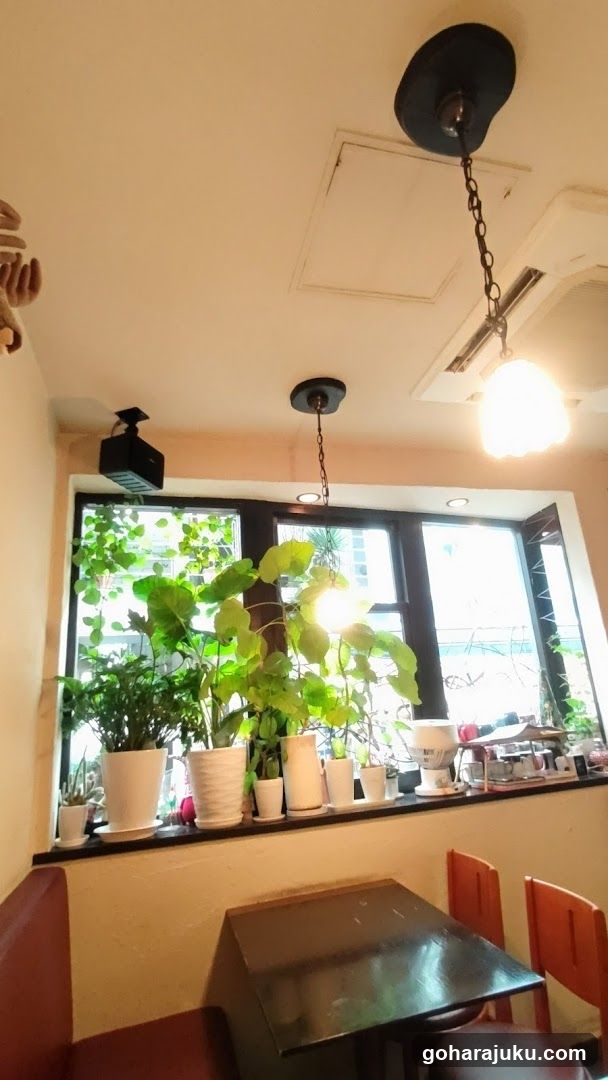 Cozy Cafe Interior with Plants
