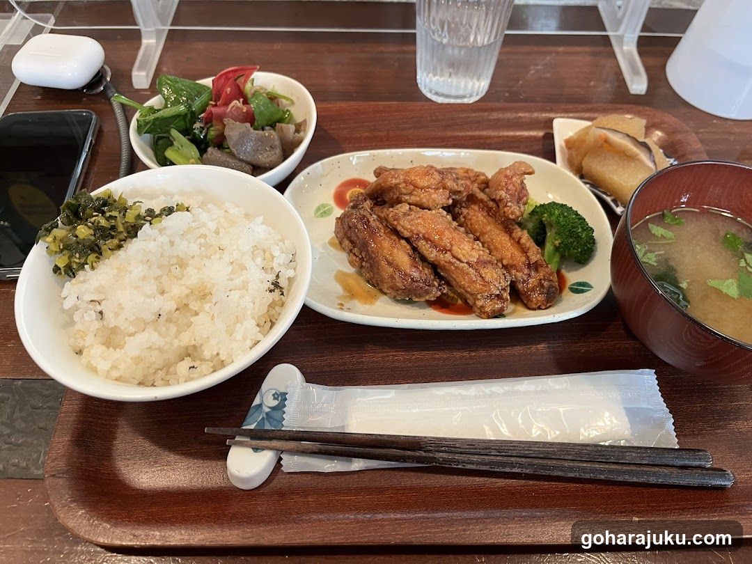 Japanese Meal Tray