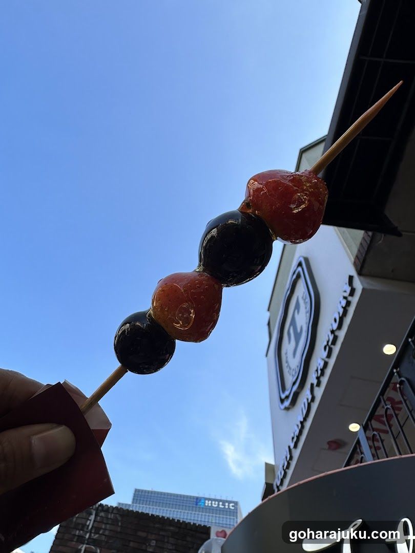 Candied Fruit Skewer