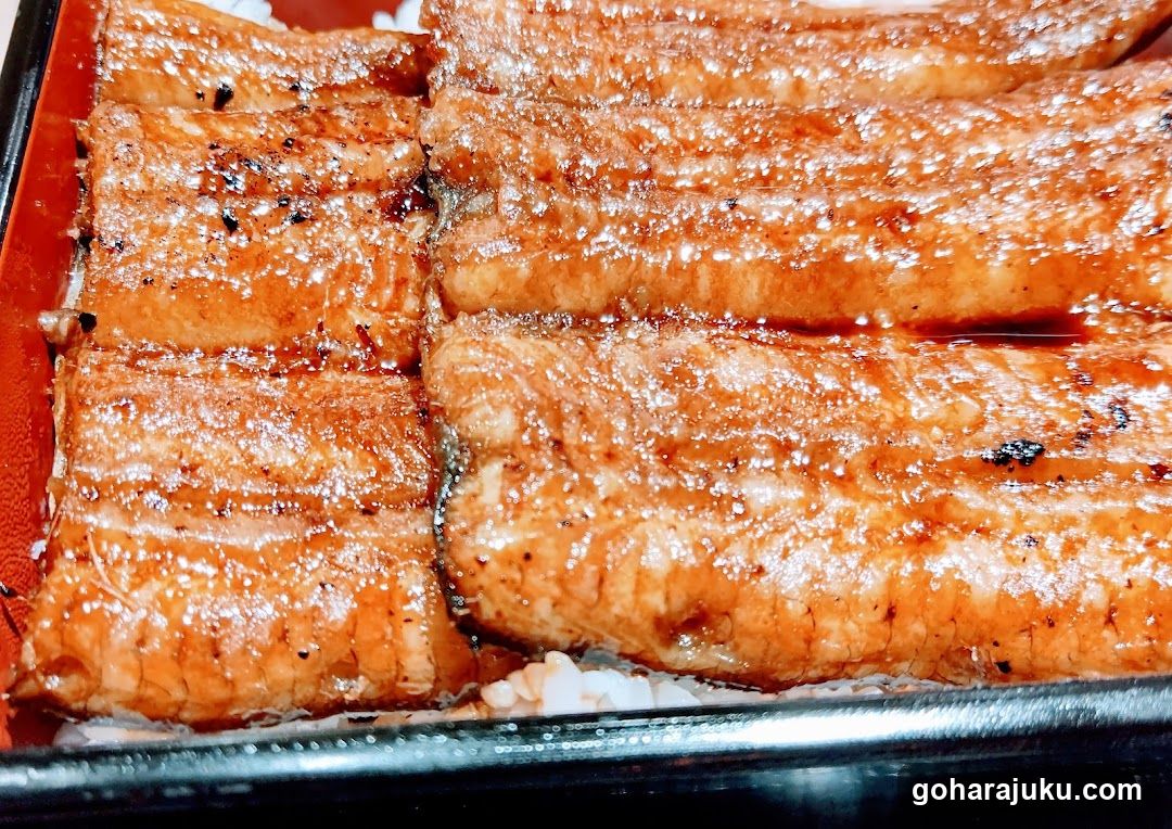 Grilled Eel Rice Bowl
