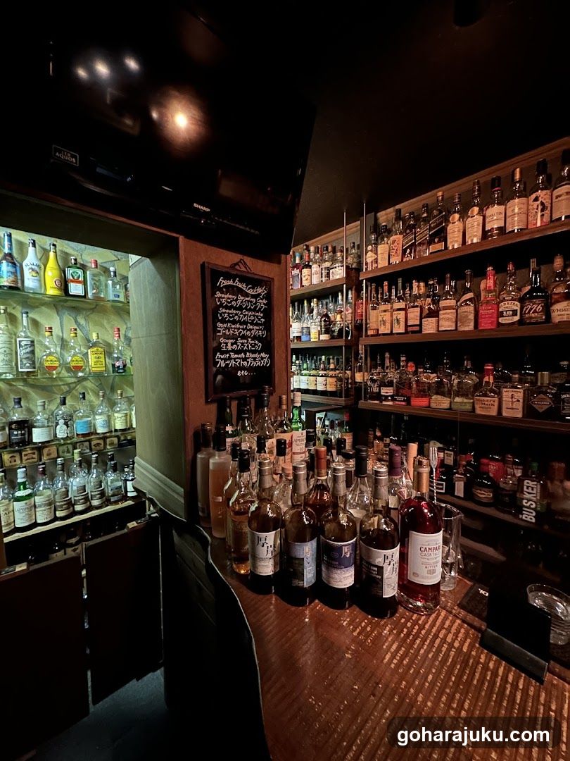 Bar Interior with Extensive Alcohol Selection