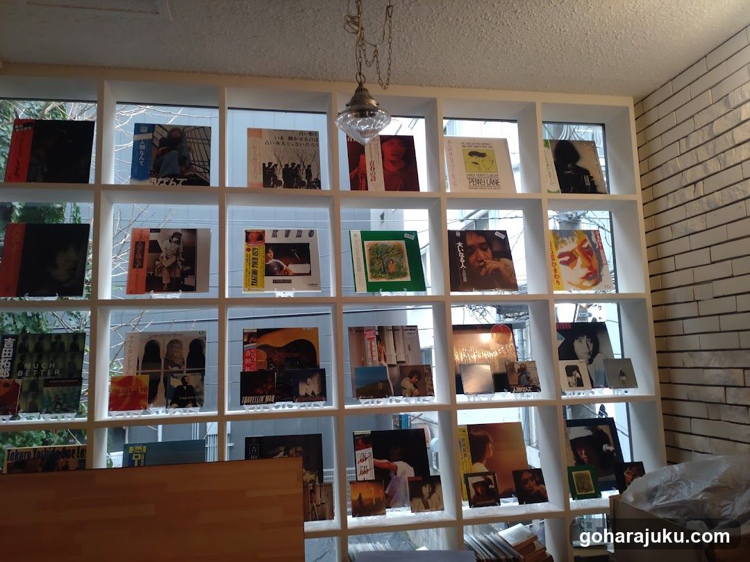 Record Display Shelf
