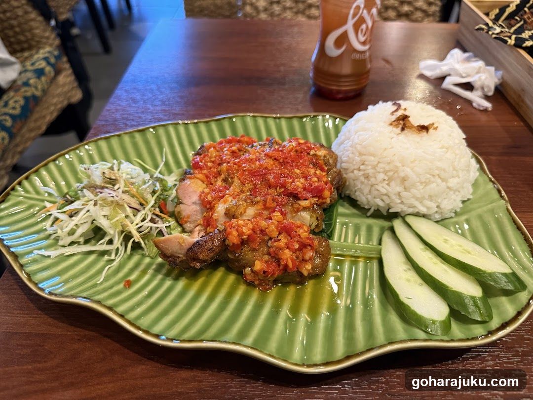 Spicy Chicken with Rice and Salad