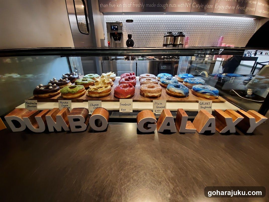 Dumbo Galaxy Donuts Display