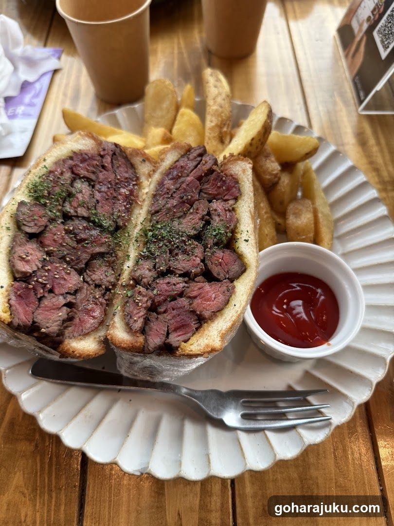 Steak Sandwich with Fries and Ketchup