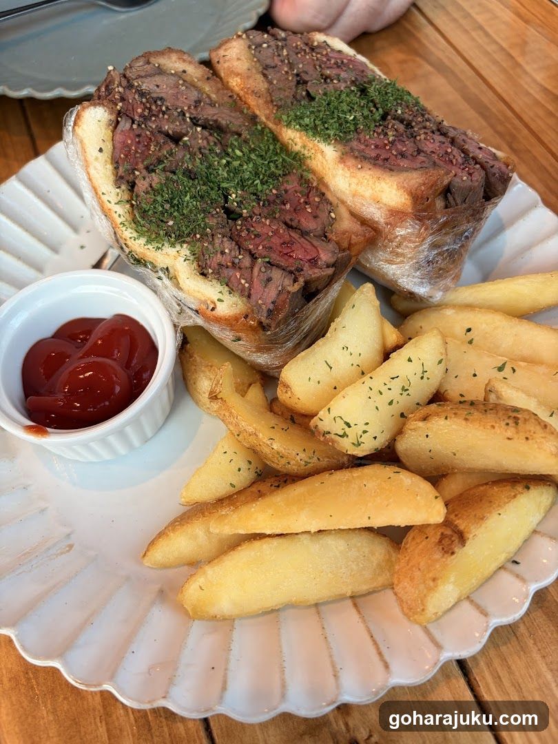 Steak Sandwich with Fries and Ketchup
