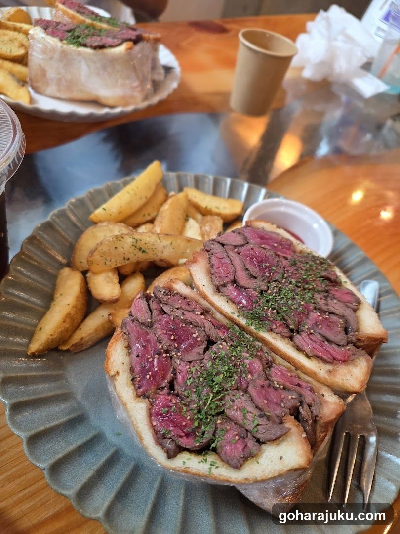 Steak Sandwich with Fries