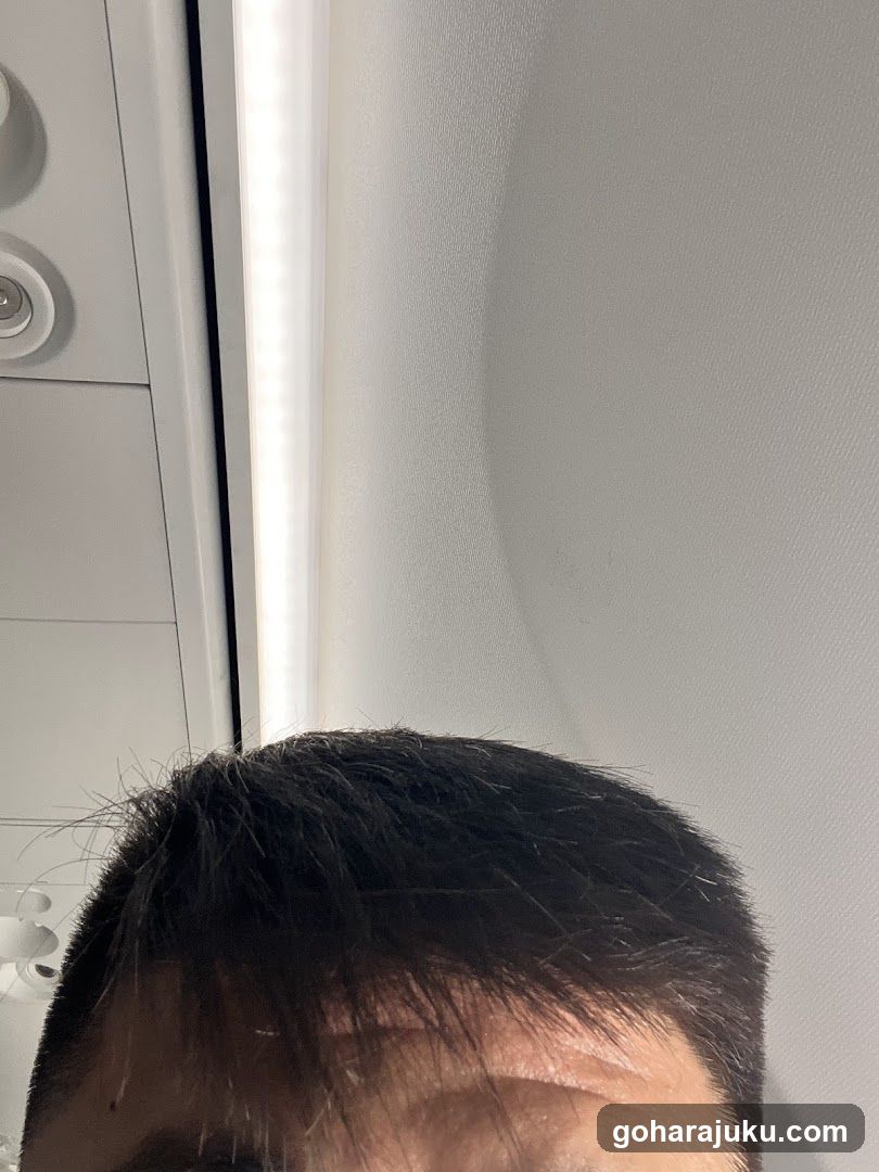 Close-up of hair and forehead
