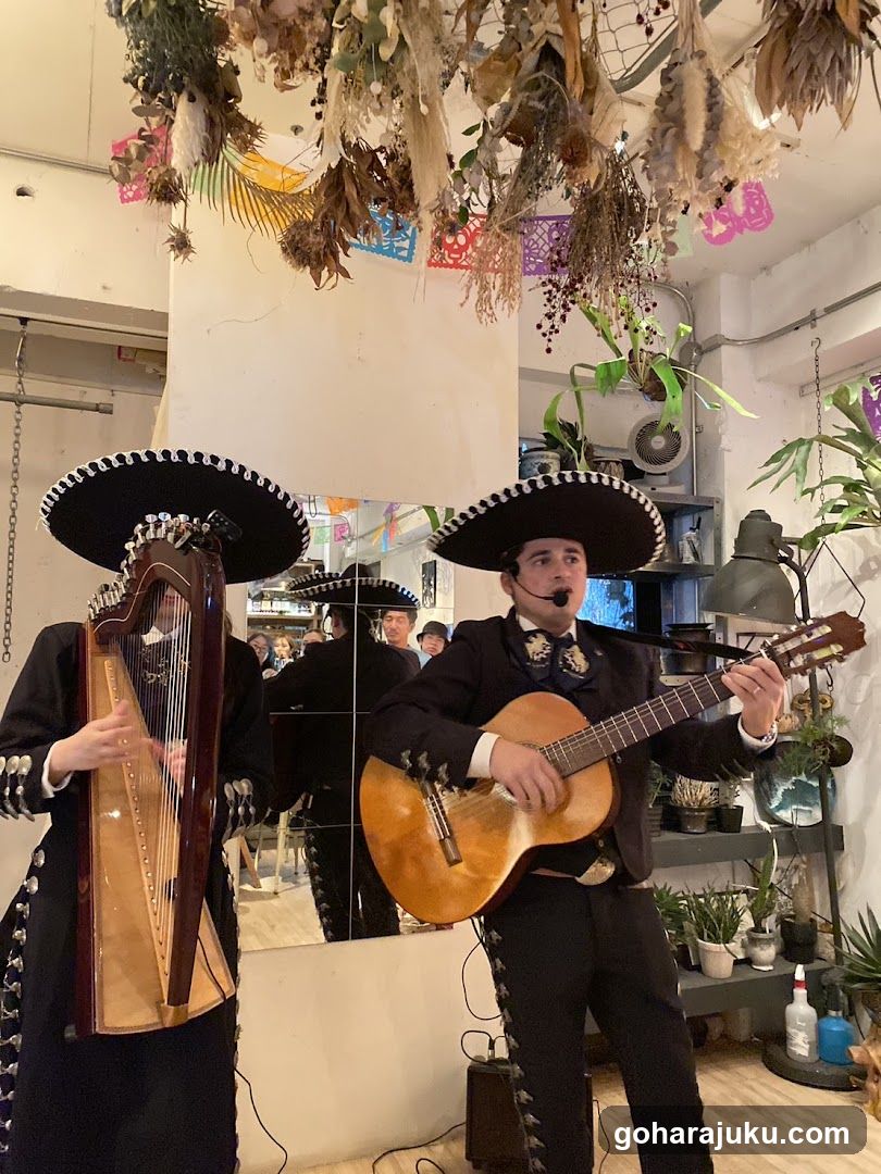 Mariachi Band Performance