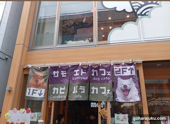 capybaraonsen moffu tokyo