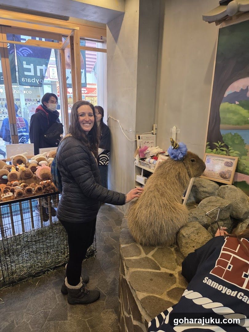Interior Shop Scene with Capybara Display