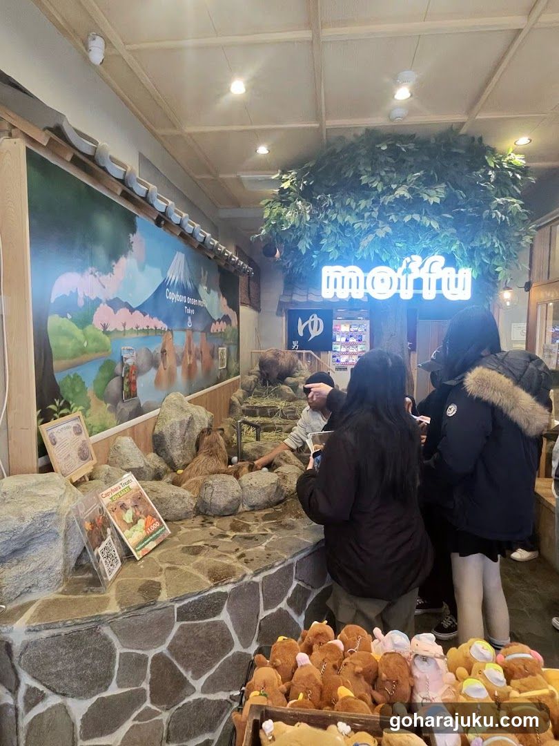 Interior of a shop with stuffed animals and customers