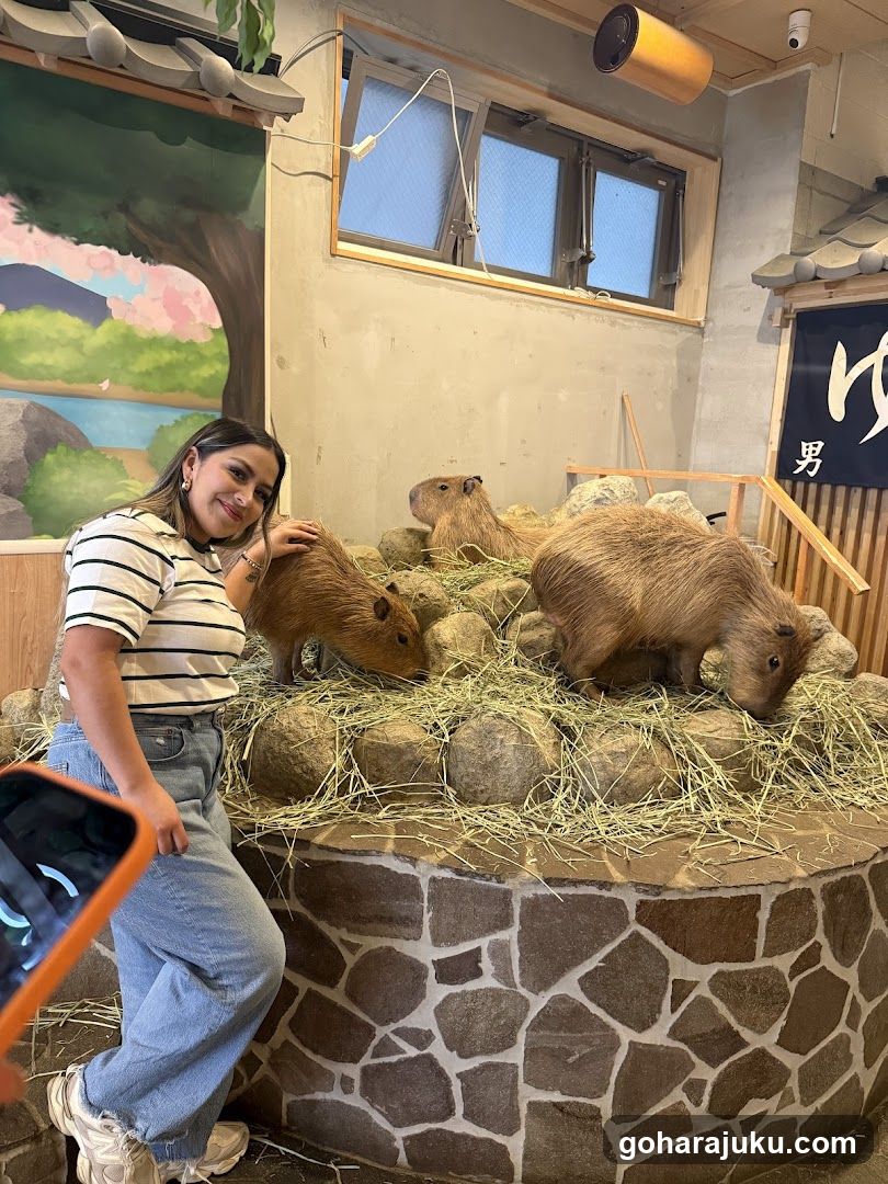 Woman with Capybaras in Indoor Enclosure