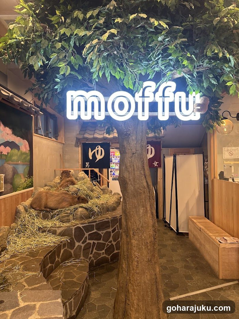 Moffu Interior Scene