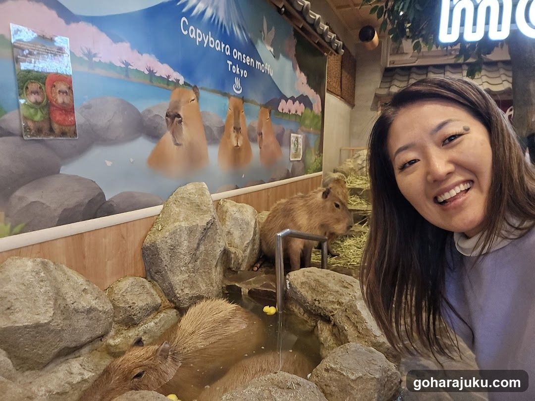 Capybara Onsen Mofu Tokyo