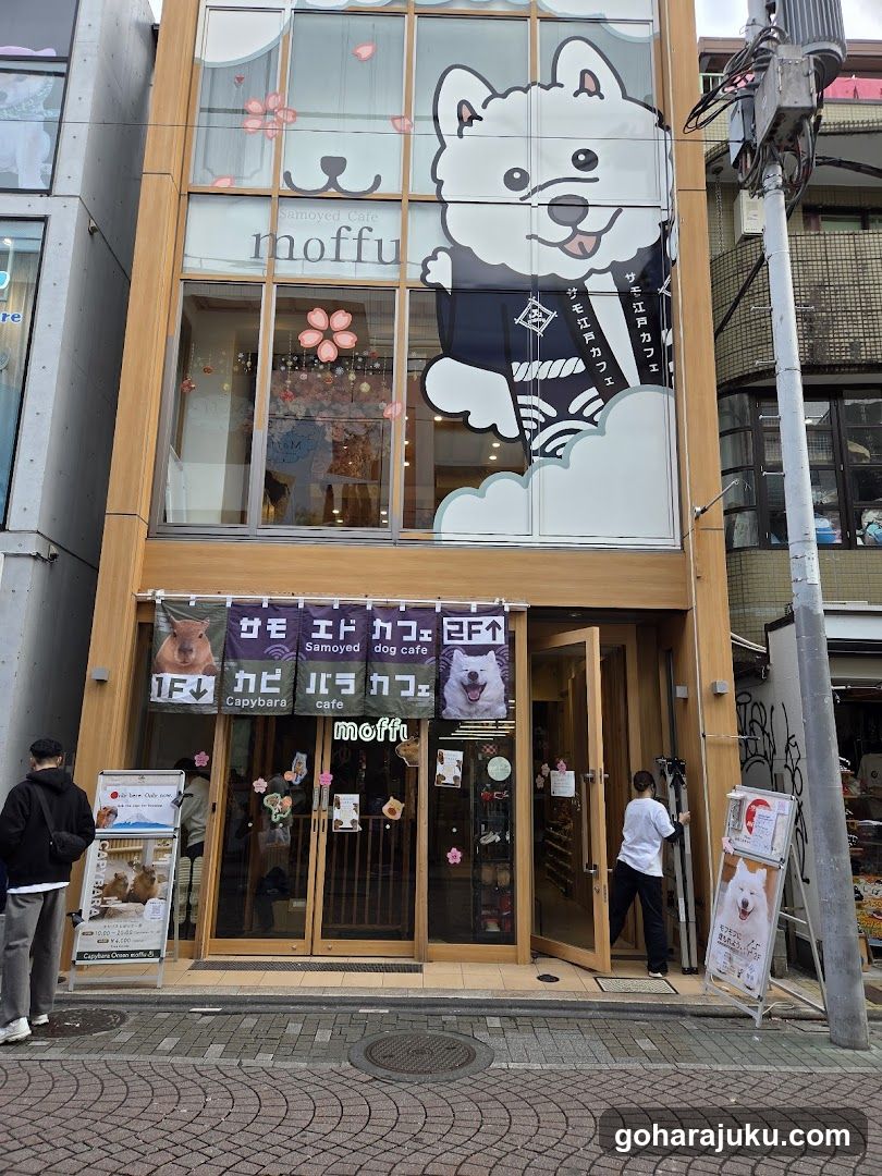 capybaraonsen moffu tokyo