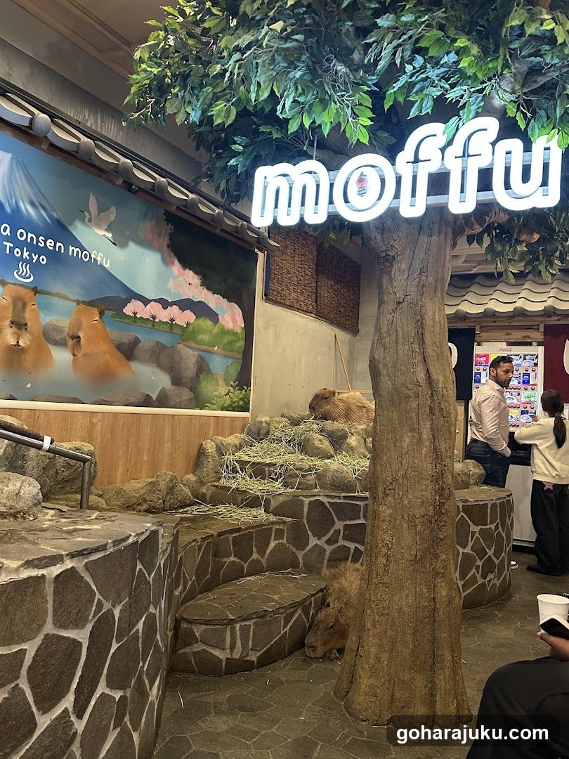 Moffu Interior Scene