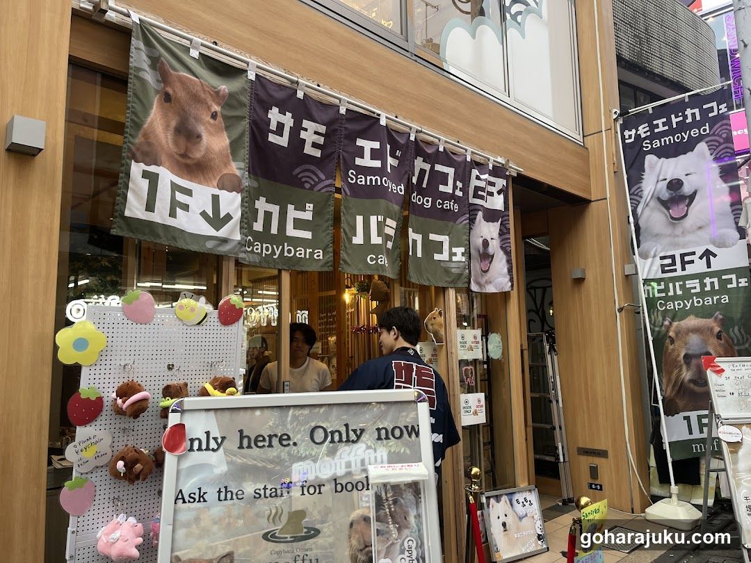 capybaraonsen moffu tokyo
