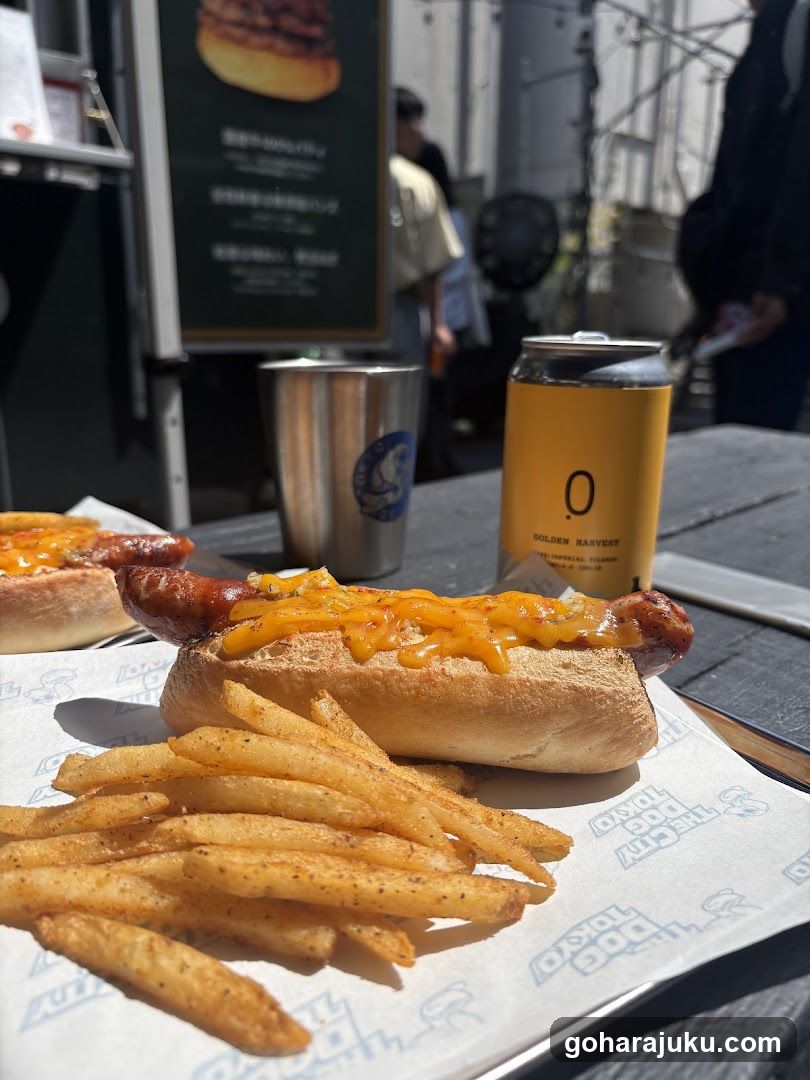 Outdoor Food Scene with Hot Dog and Fries