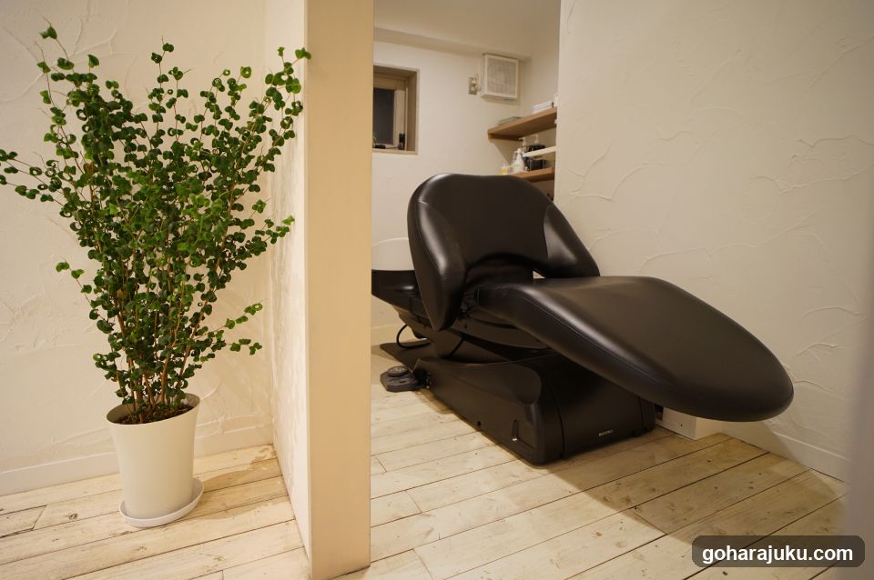 Massage Chair Interior