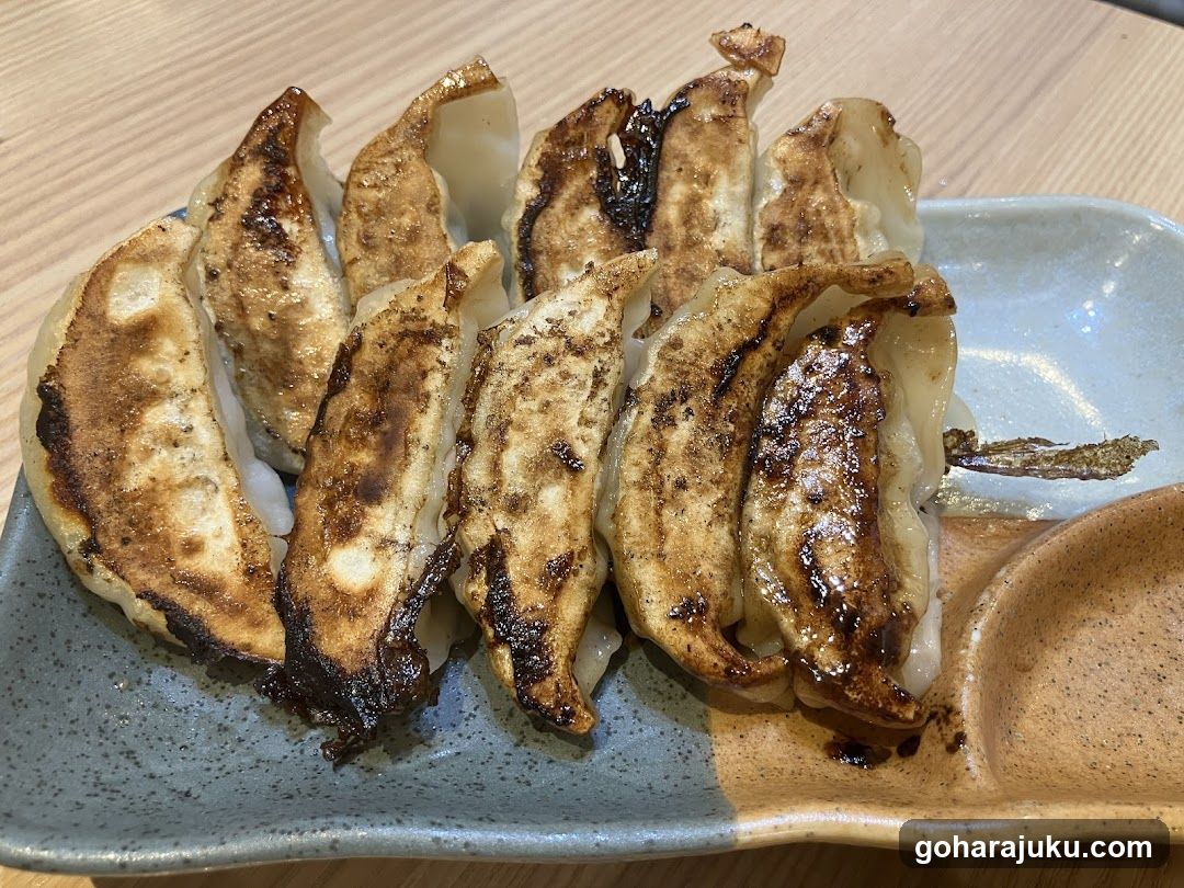 Gyoza on a plate