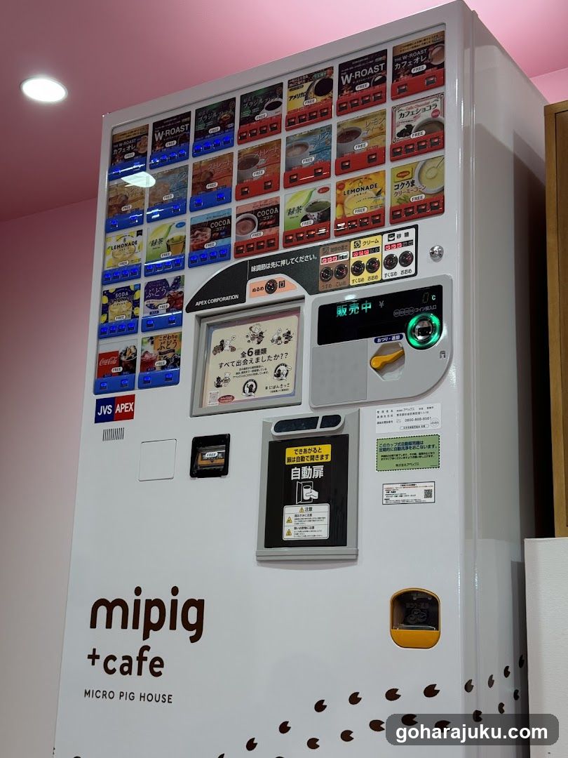 mipig + cafe vending machine