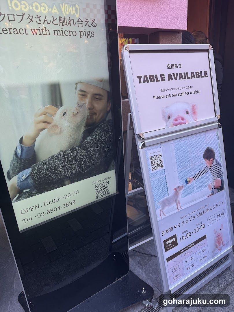 Micro Pig Cafe Signage
