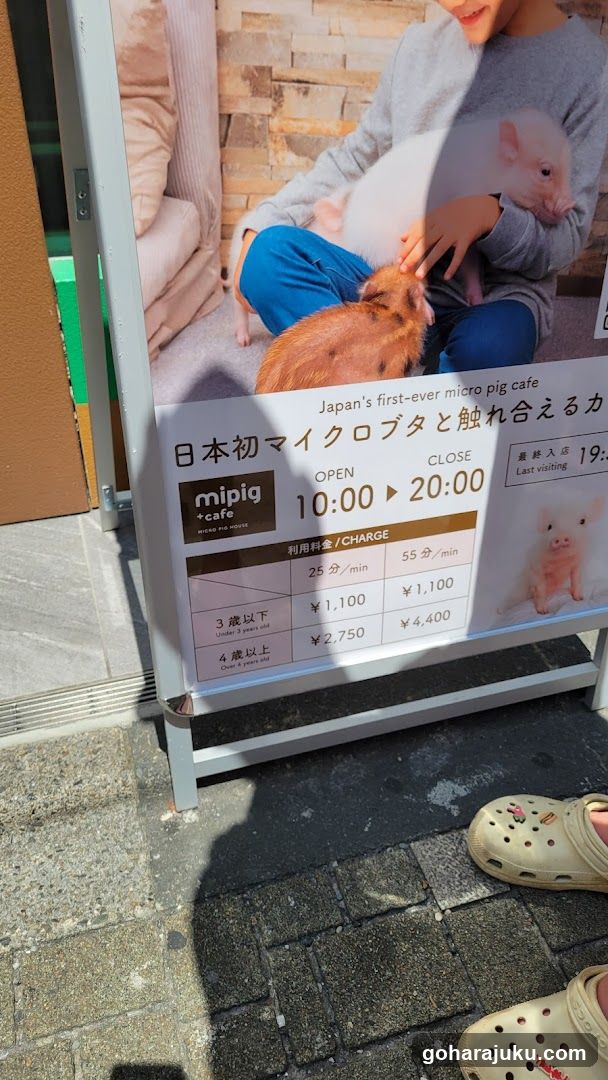Micro Pig Cafe Signage