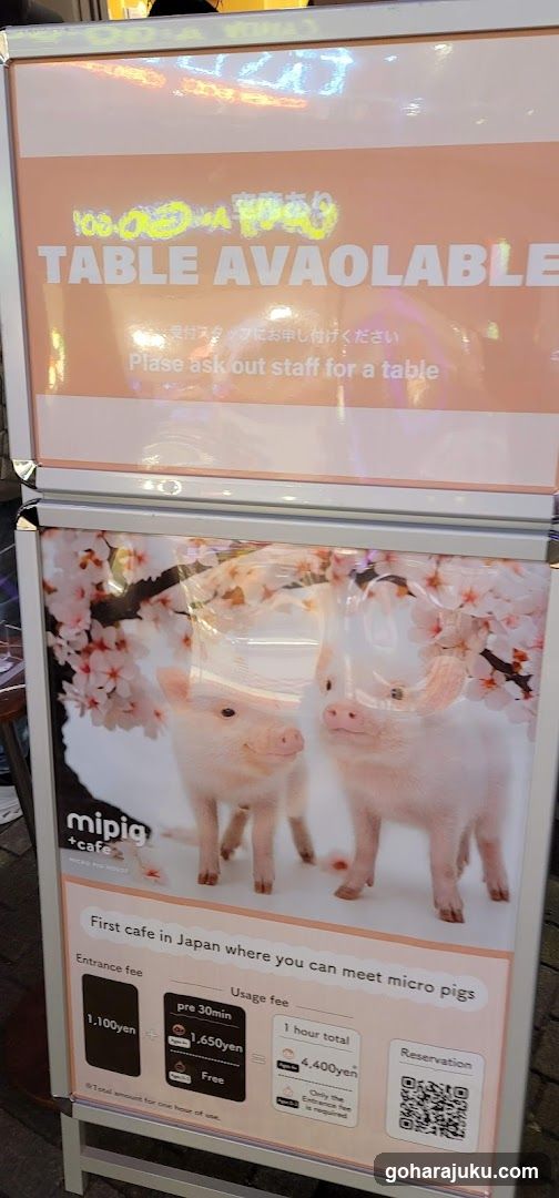 mipig cafe signboard