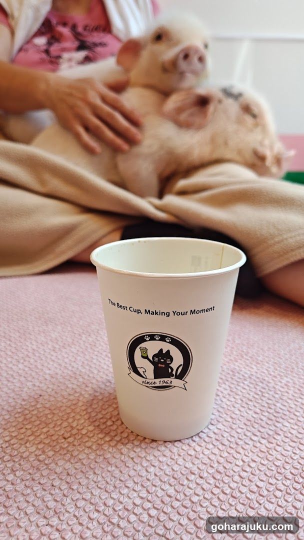 Pig Petting with Cup in Foreground