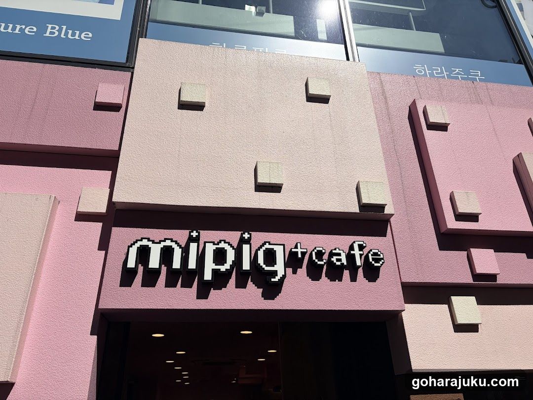 mipig cafe