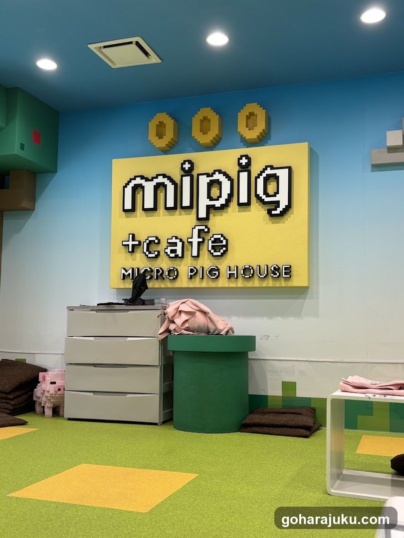 mipig +cafe interior