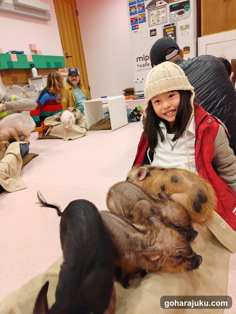 Piglet Interaction at mip+cafe