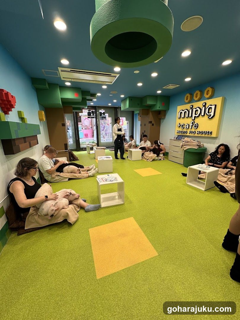Mipig Cafe Interior