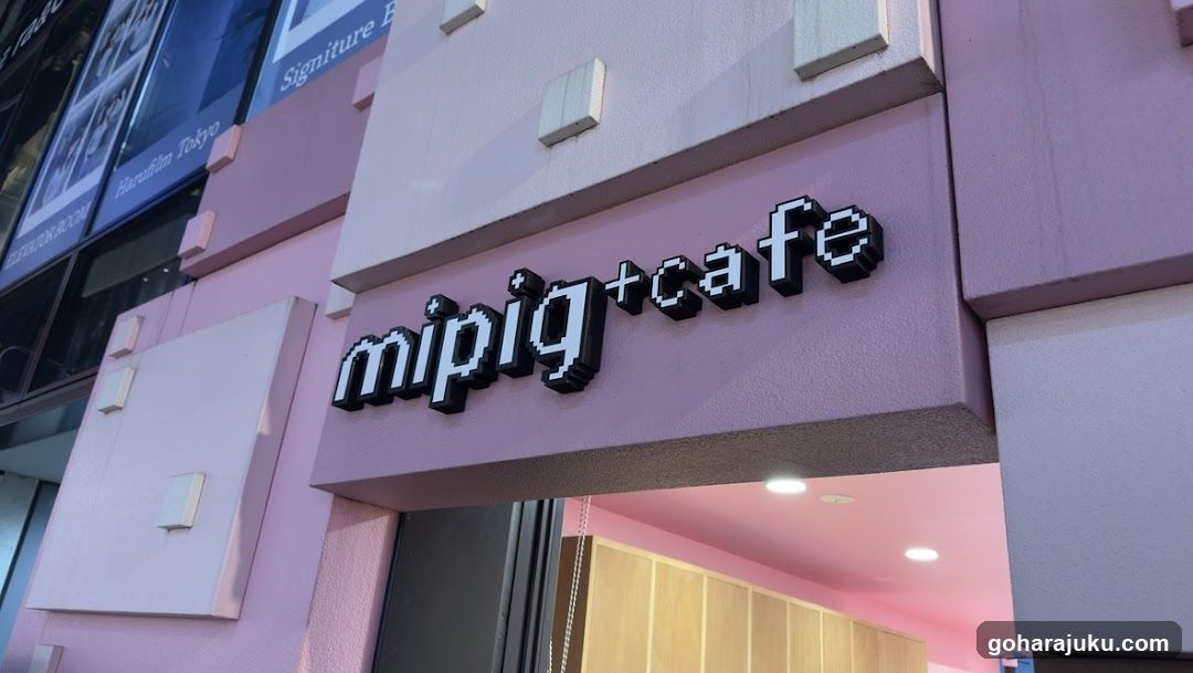 mipig cafe