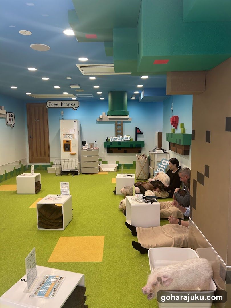 Harajuku Animal Cafe Interior