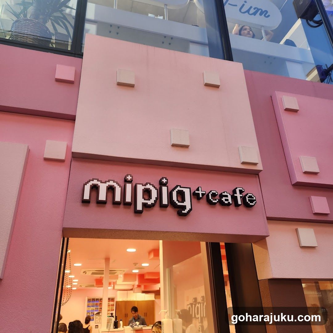 mipig cafe