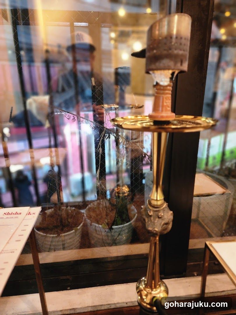 Hookah and Plants in Shop Window