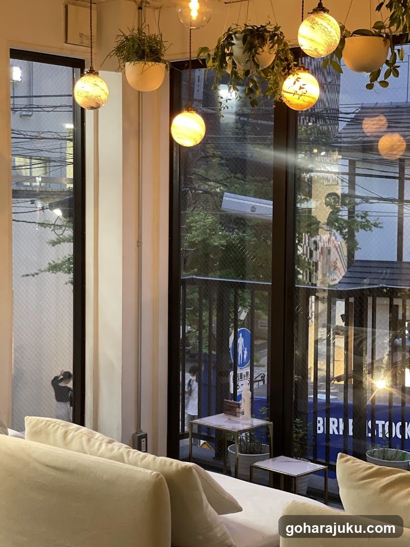 Cozy Interior with Hanging Lights and Plants