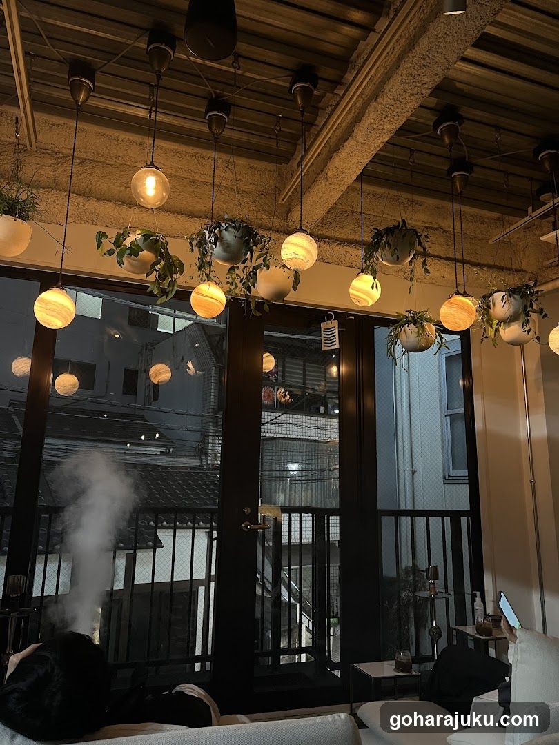 Cozy Interior with Hanging Lights and Plants
