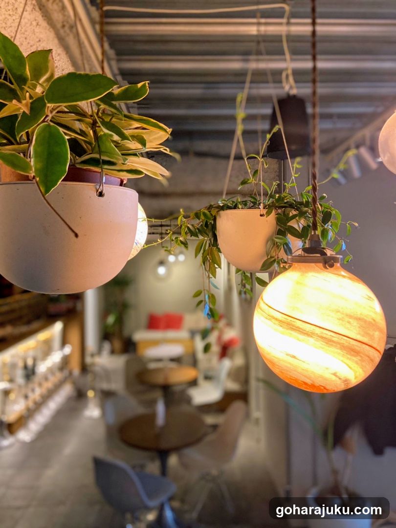 Cozy Cafe Interior with Hanging Plants and Warm Lighting