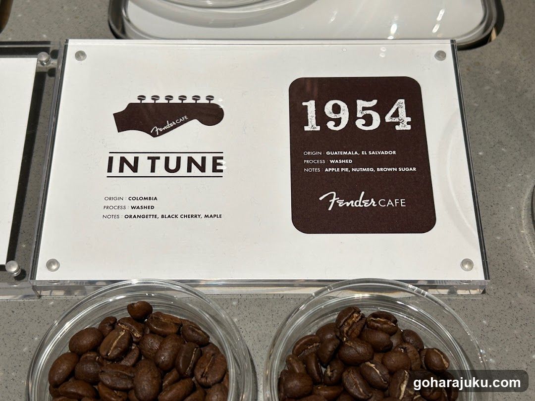 Fender Cafe Coffee Beans Display
