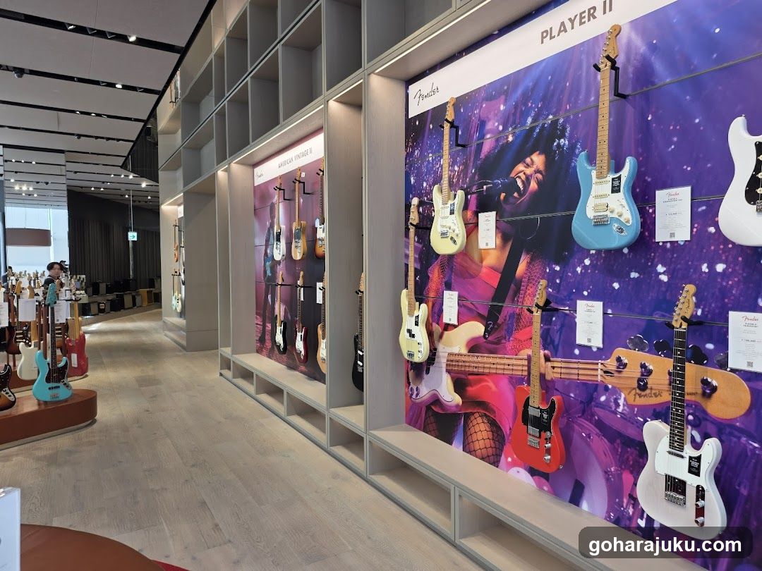 Fender Guitar Display