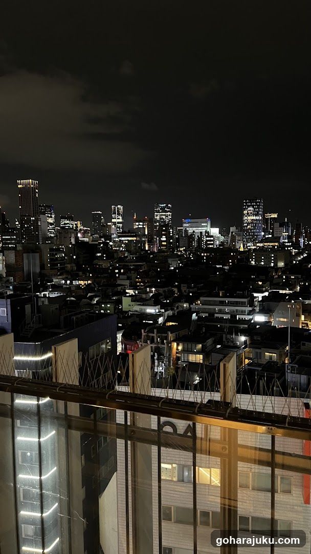 Night Cityscape View from Rooftop