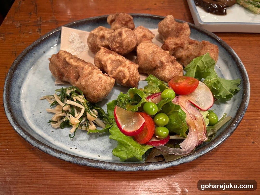 Fried Food and Salad Plate
