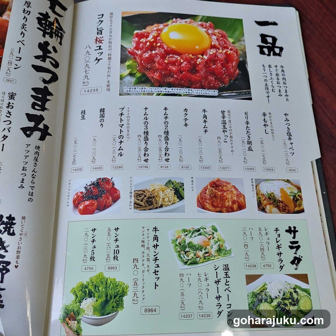 Japanese Restaurant Menu Page